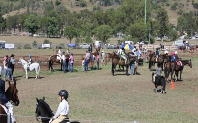 Gresford Agricultural Show