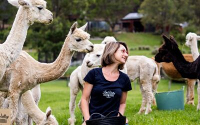 Alpaca Workshops