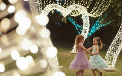 Christmas Lights Spectacular at Hunter Valley Gardens