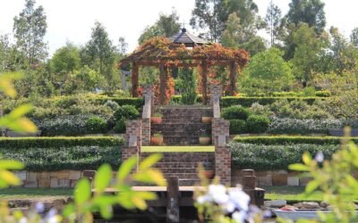 The Bath House Garden Open Day